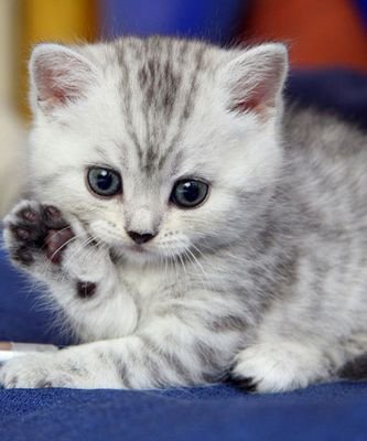 Lenya_Petrenko's profile picture. Читаю взаимно отвечаю взаимно все что я делаю все взаимно читайте меня и вы не пожалеете что сделали правильный выбор!