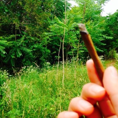 | High quality dope pics | Good vibes & trippy times | 3rd Eye Open | Fuck the system |