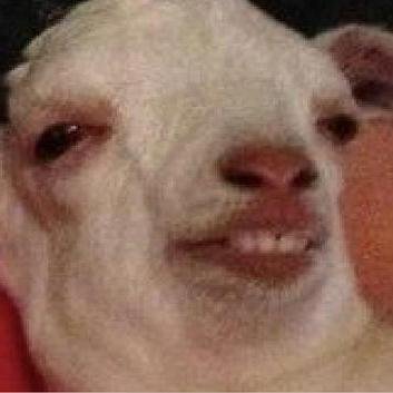 SprintFormm's profile picture. .