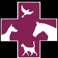 Medico Veterinario Egresado de la U.B.A, Cirugias, Clinica, Dermatologia, Cardiologia, Analisis Clinicos, Observaciones Antirrabicas.