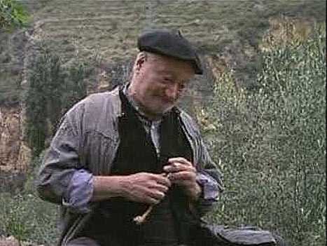 pilsanireva's profile picture. 