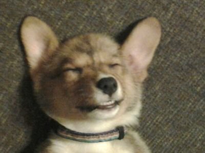 quentinf88's profile picture. 