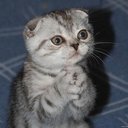 Евгений Чурилов - @John_most - Twitter