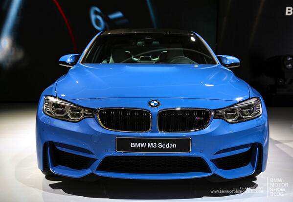 sabelo_97569's profile picture. Unisa agricultural science student. Email sabelonkosi98@gmail.com