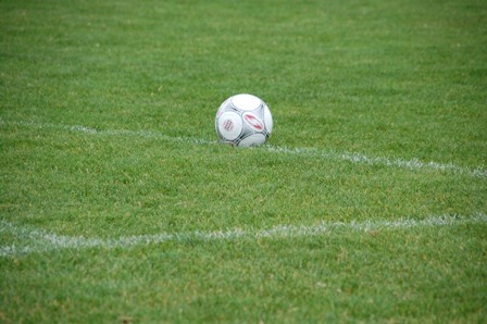 sportbizonline's profile picture. Sportbiz-Online: Das Magazin im Netz für Sport und Wirtschaft