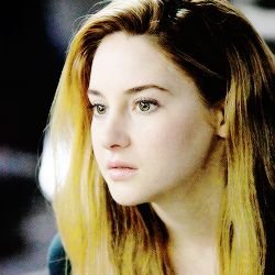 ShaiWoodleyOSH's profile picture. ansel is my sunshine.