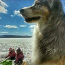 Daniel Nantel - @NantelDaniel - Twitter