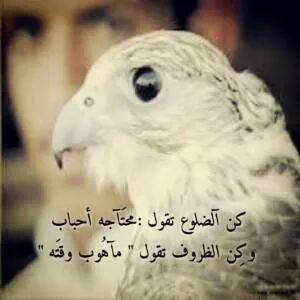 ‏ جَمِيعنَآ يُخطيء ويُسيء آلظنْ أحيآناً فَلمْ يُخلق إنسَآنٌ دون عُيوب ولَكنْ ثق أنْ إعتَذآر أحدهَم إلَيك هَو دَليل مودتَہّ  وحبة لك ✉̷̷