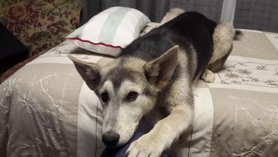 mdmx777's profile picture. 