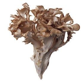 oh_maitake's profile picture. ゲームまったり勢。基本PS、たまにPC。ゆるいDeファン