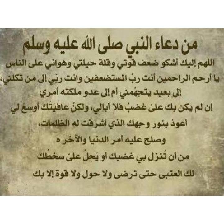 moh22zr's profile picture. ظ