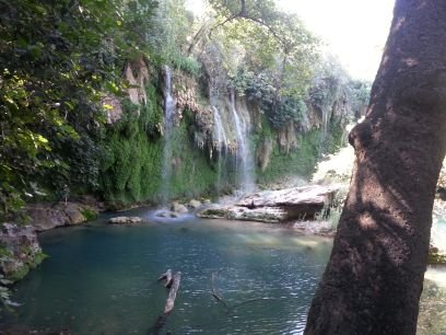 HsMan0780's profile picture. Antalya