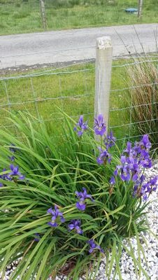 JaneRobb1's profile picture. Unapologetic union activist, supporter of public education, appreciative of my loving family and friends, world traveler wannabe