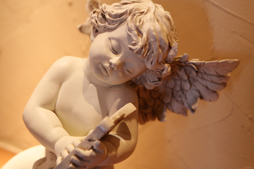 goldandspice's profile picture. 