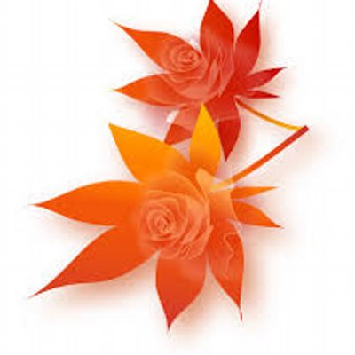紅蘭