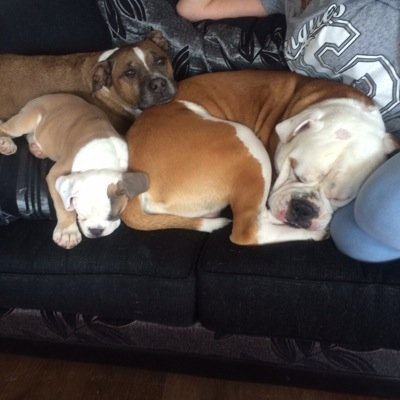 leebee66's profile picture. 