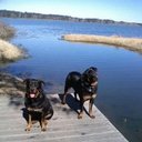 Bradley Blackerby - @delta9948121 - Twitter