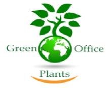 GreenBayPlants's profile picture. Experts indoor & outdoor Tropical Office Plants* #Maintenance| These Office plants & Desk bowls reduce stress and enhance your mood at your work place