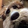 twitter: warning: following standard input indefinitely is ineffective. Remote SysAdm-who-code and cloud juggler at BeBanjo