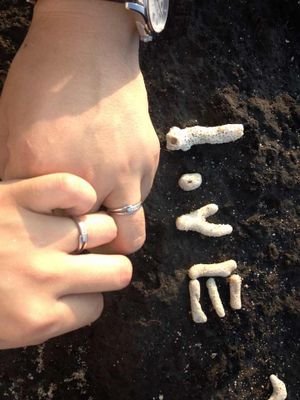 longyuan1024's profile picture. 