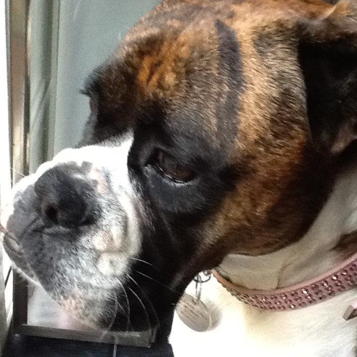 TMillikenSmith's profile picture. 