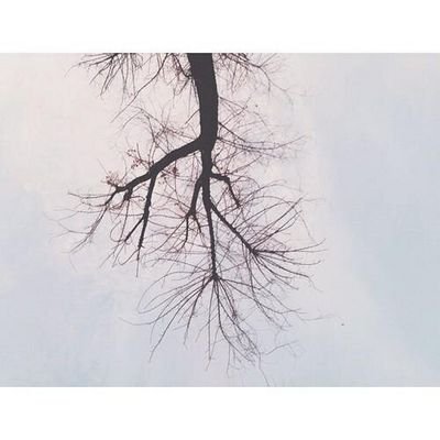 Jika kesempurnaan yang kamu cari , maaf .. tu bukan aku
