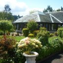 Helen McFadden - @Hcpnh - Twitter