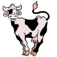 Kelmarsh YFC (@kelmarshyfc) 's Twitter Profile