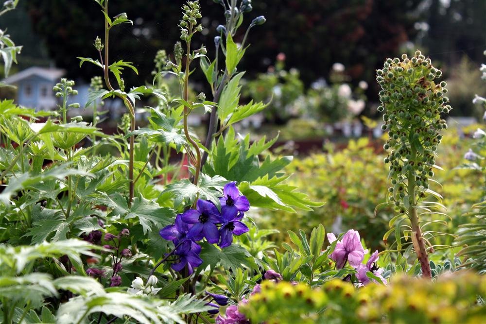 A family owned garden centre and florist, based just outside of Chichester, with its own restaurant. Tel: 01243 781734
