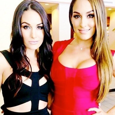 nikkibriemode's profile picture. All I love in this world is The Bella Twins @nicoleandbri
