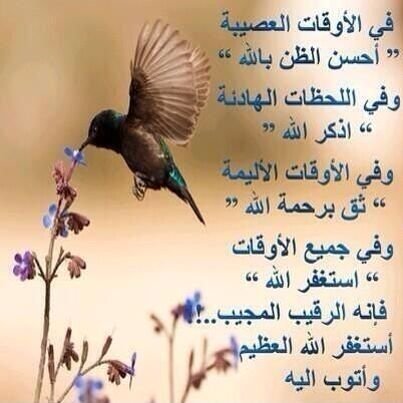 لا إله إلا الله وحـده لا شـريك له له الـملك وله الحـمد وهـو على كل شـيء قـدير 