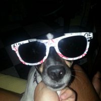 winfrik (@sergiowinfrik) 's Twitter Profile
