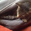 John bardwell - @uninspireazy - Twitter