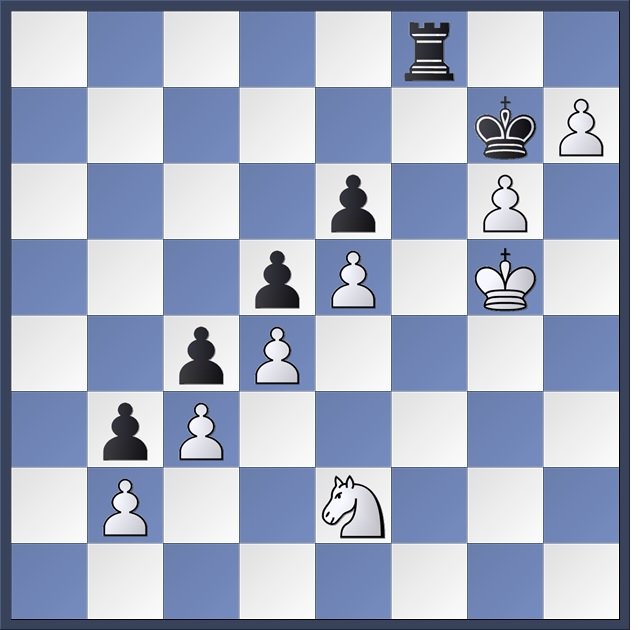 Chess teacher, sports journalist, business consultant