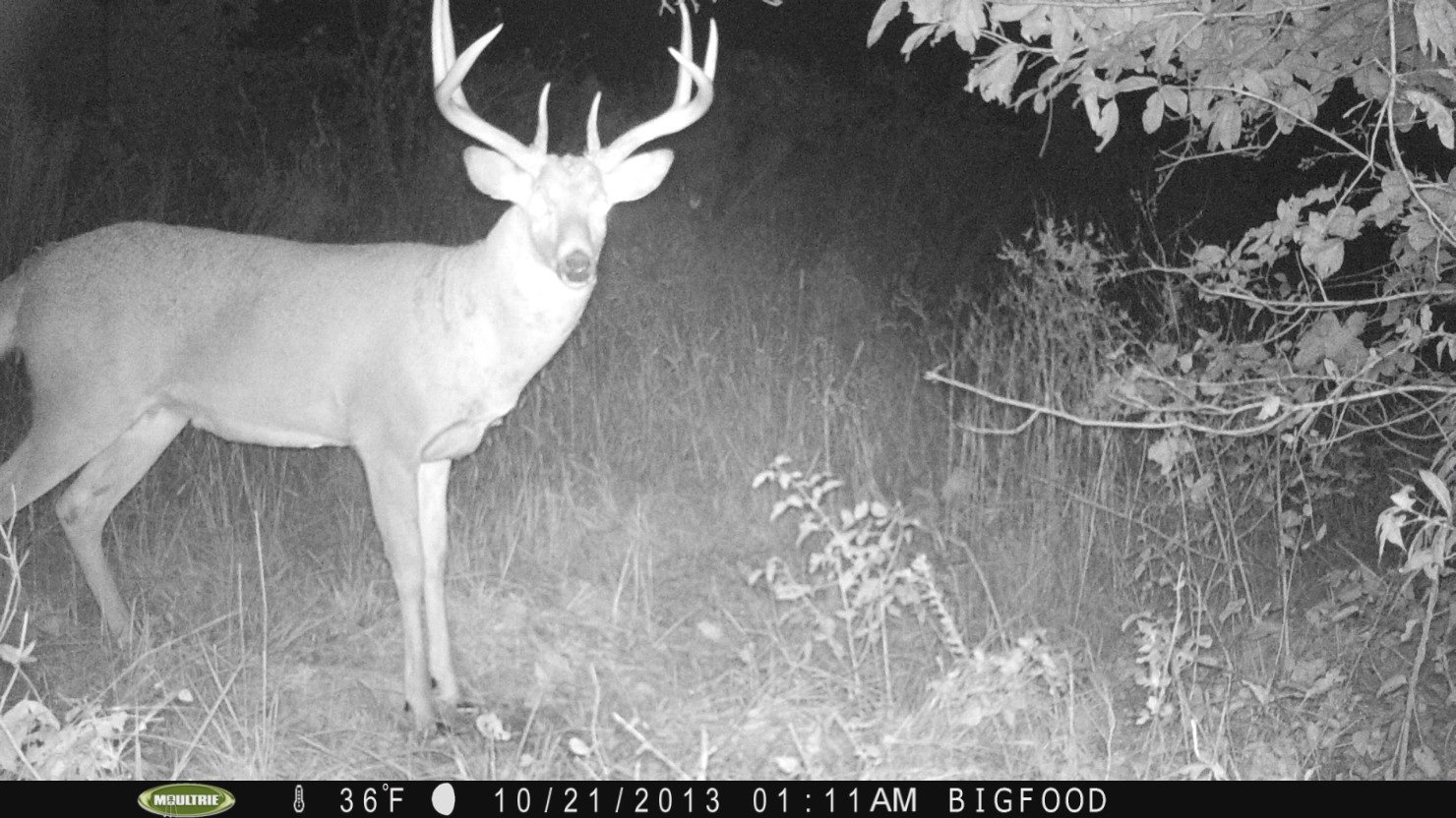 dcleslie50's profile picture. Power plant worker, deer hunter, Notre dame fan