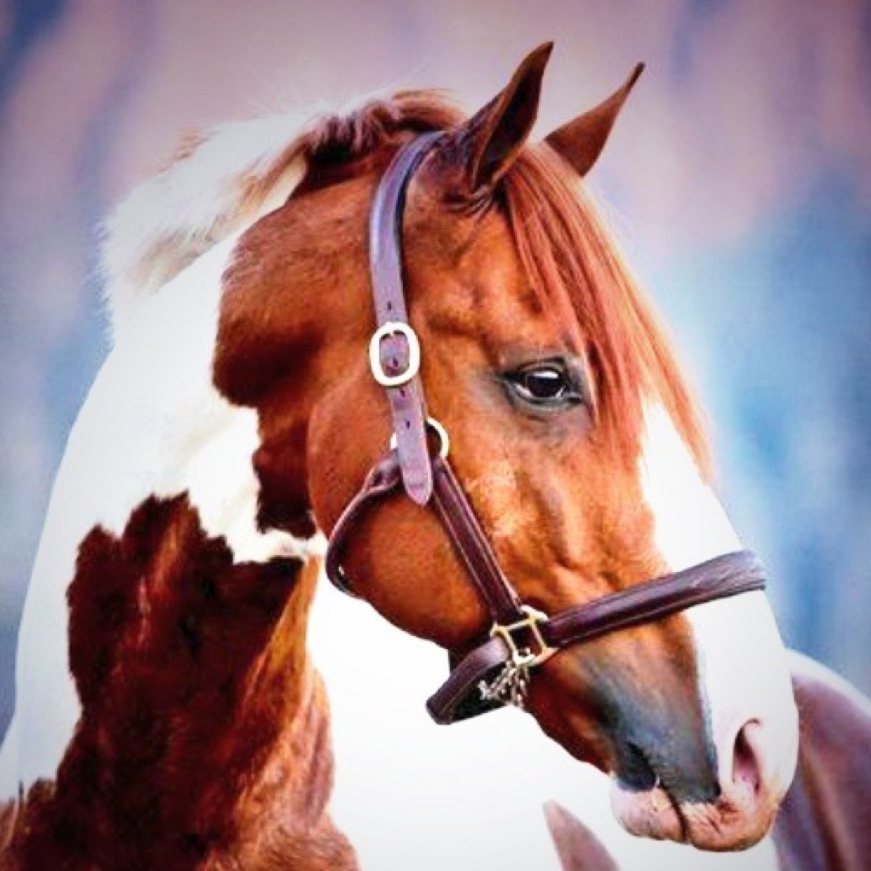 Going riding today !!