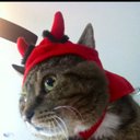 Janet Ellinger - @Janetellinger - Twitter