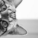 lana key key - @lanajasna - Twitter