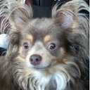 Donna Harbison - @donnaharb - Twitter