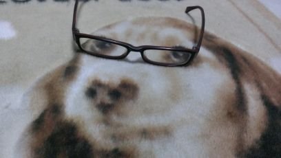 頑張ります