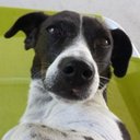 Rhonda Abney - @AbneyRhonda - Twitter