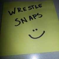 Wrestle Snaps  (@wrestlesnaps) 's Twitter Profile