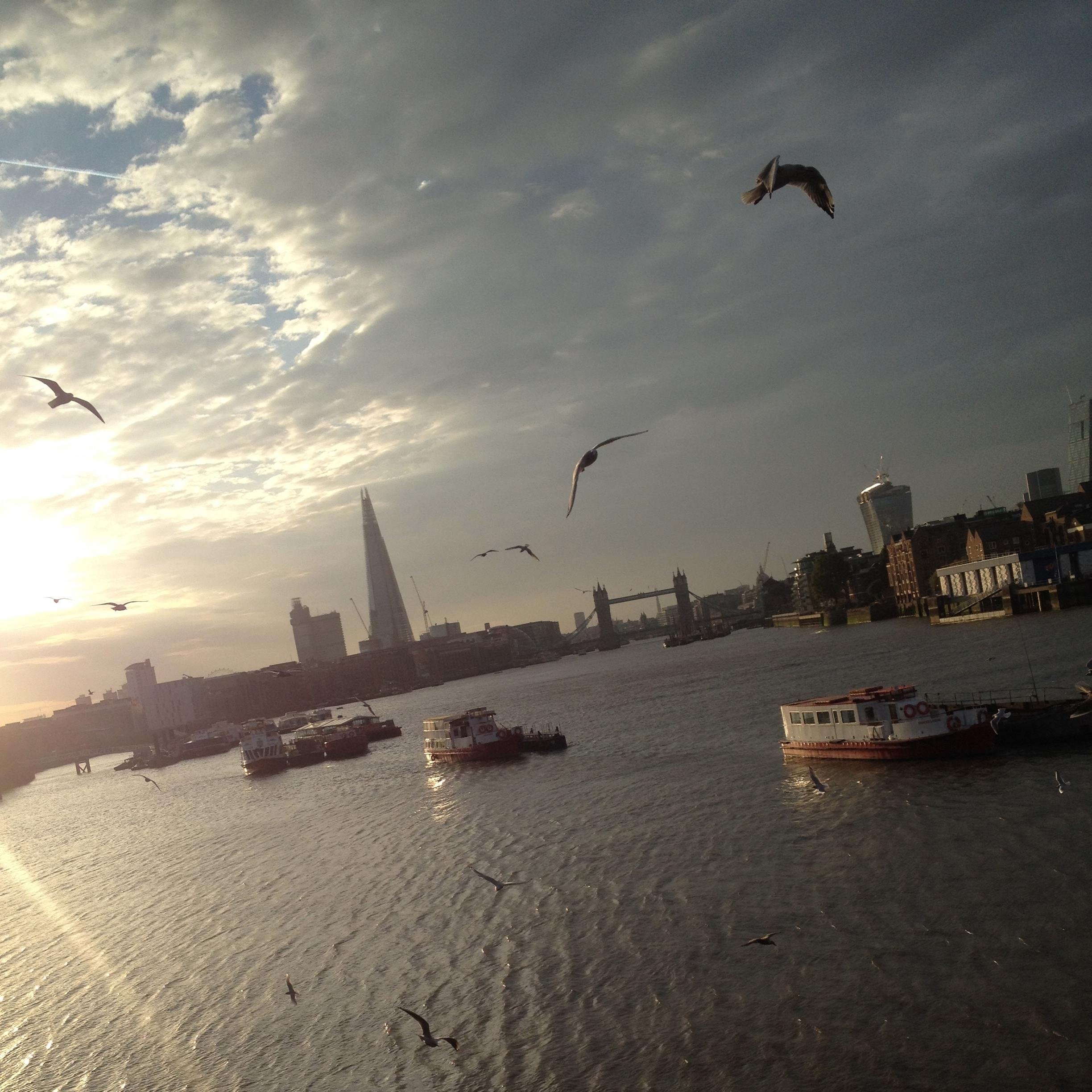 Eyepa1ch's profile picture. All views my own.