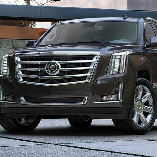 yonah881's profile picture. ...we only live ones...