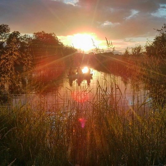 The mill on the hidden road, a centre for new optimism, art and experimentation. 
A journey in permaculture.