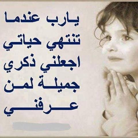 zerocode4's profile picture. 