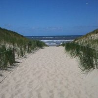 Marlies Akveld (@marliesakveld) 's Twitter Profile