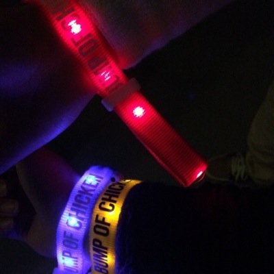 音楽専用垢です！in率は少し低めです。。。/BUMP OF CHICKEN/androp/Aqua Timez/back number/flumpool/KANA-BOON/SEKAI NO OWARI/ゲスの極み乙女。/［Alexandros］など！