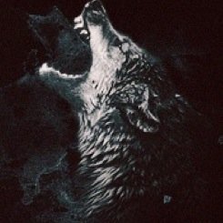 DeathMetalWolf's profile picture. I enjoy Metal and Games from virtual to tabletop.