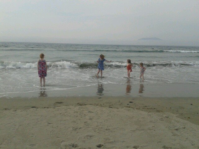 family, walking, cooking, baking, crochet, tea, art.